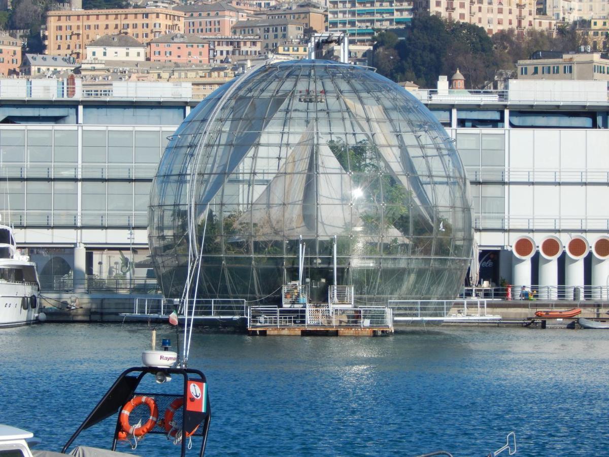 Your Sweet Genova